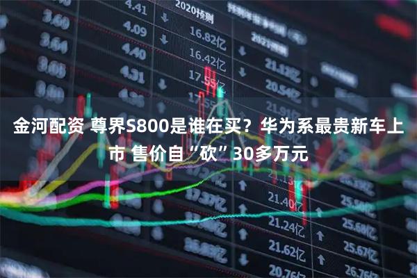 金河配资 尊界S800是谁在买？华为系最贵新车上市 售价自“砍”30多万元