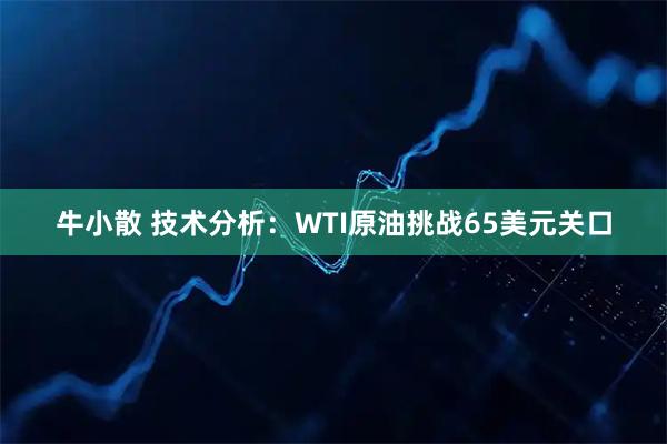 牛小散 技术分析：WTI原油挑战65美元关口
