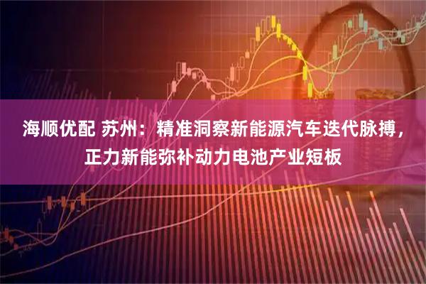 海顺优配 苏州：精准洞察新能源汽车迭代脉搏，正力新能弥补动力电池产业短板