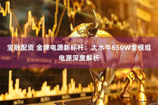 宝融配资 金牌电源新标杆：大水牛650W全模组电源深度解析